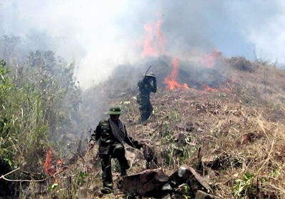 Army soldiers’ battle to put out a forest fire in Phu Yen Province (Photo: SGGP) Army soldiers’ battle to put out a forest fire in Phu Yen Province (Photo: SGGP)